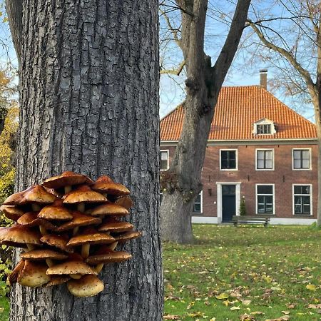 B&B Huize Placida Boxmeer Exterior foto